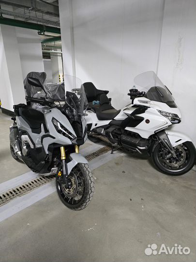 Honda X-adv Akrapovich