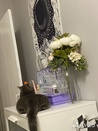 Клетка для попугая