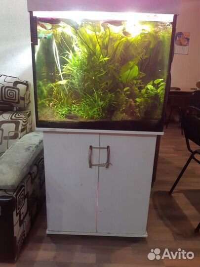 Аквариум с тумбой 300 литров
