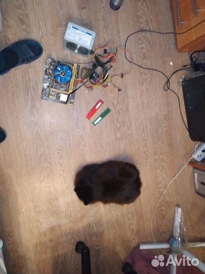 Компьютер AMD Radeon HD6950