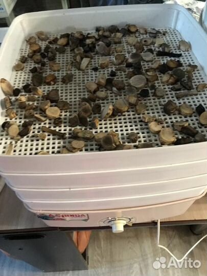 Сушилка для овощей и фруктов