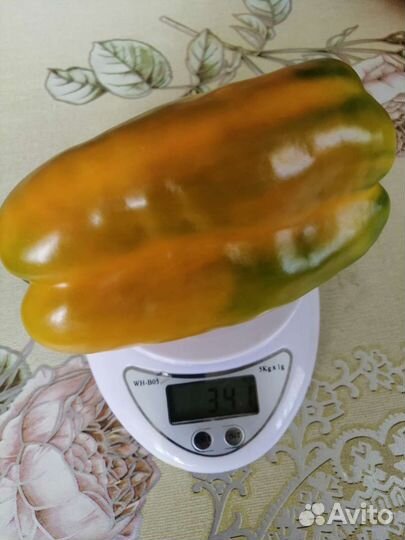 Семена перца сладкого