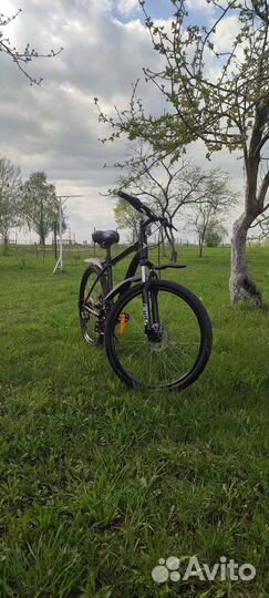 Велосипед forward hardi 2.0