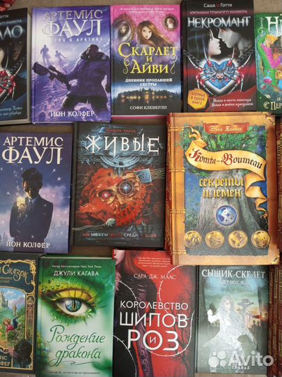 Книги Хантер, Коты-воители, хроники стаи