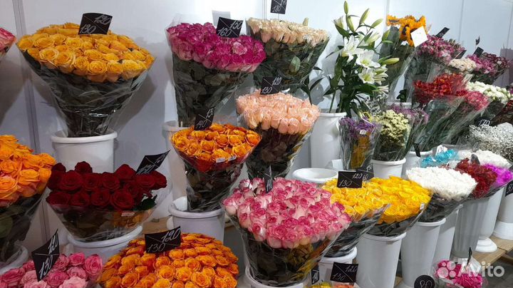 Цветы Волгоград Волжский оптом и в розницу