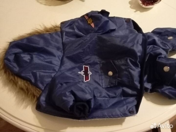 Одежда для собак мелких пород