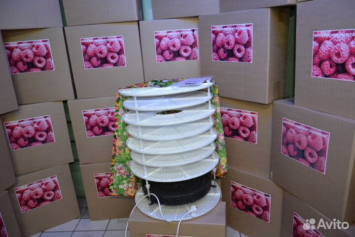 Фруктосушилки Экспресс абрикосы, яблоки, груши и т