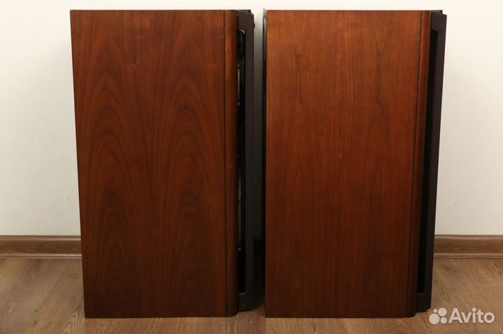 Акустика Diatone DS-3000