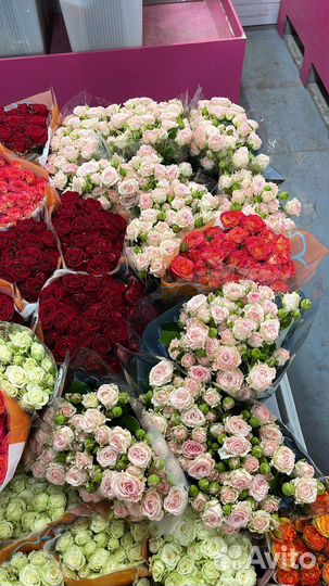 Цветы розы кустовые розы хризантемы подсолнух