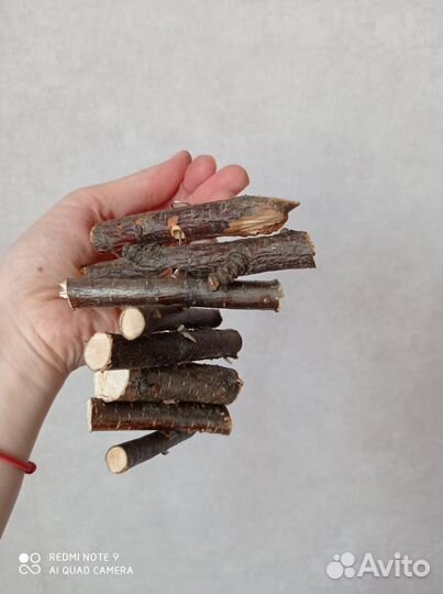 Погрызушки для грызунов