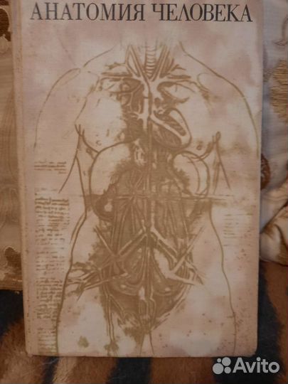 Анатомия человека под ред. С.С.михайлова