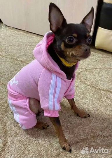 Комбинезон для маленьких собак и кошек