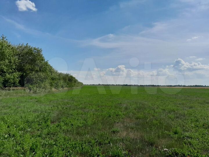 Участок 8 га (СНТ, ДНП)