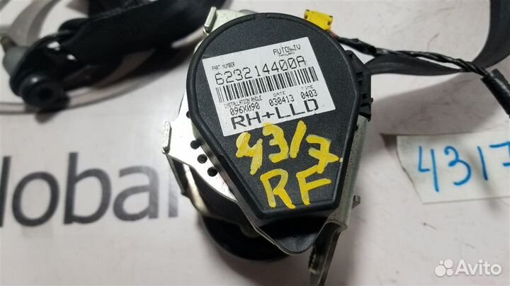 Ремень безопасности передний правый Ford Focus CB8