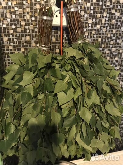 Веники березовые для бани