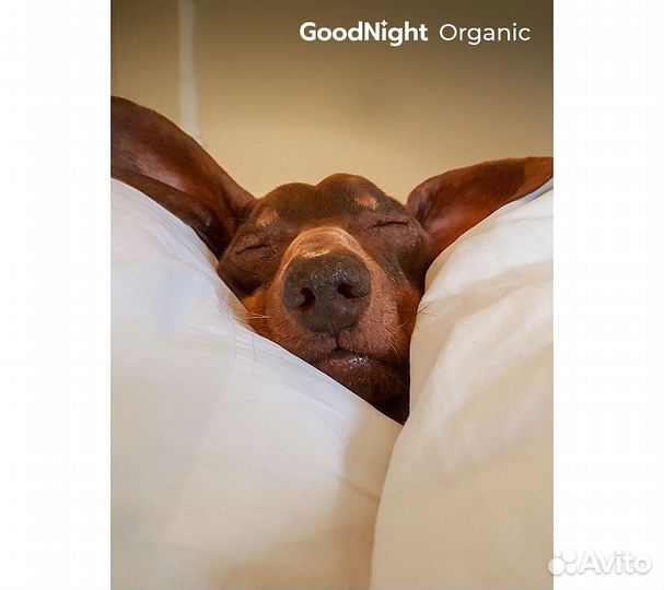 Постельное белье GoodNight Сатин Делюкс евро (с на