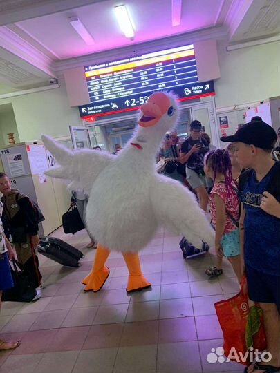 Аниматор.Поздравление гусь обнимусь ростовая кукла