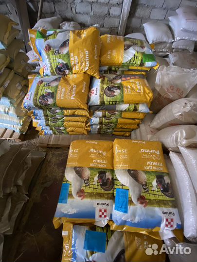 Комбикорм purina