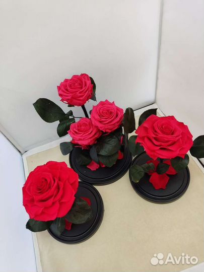 Роза в колбе