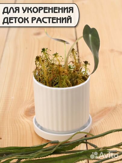 Горшок для цветов мини Кашпо для маленьких растени