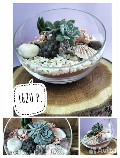 Цветы/ подарок