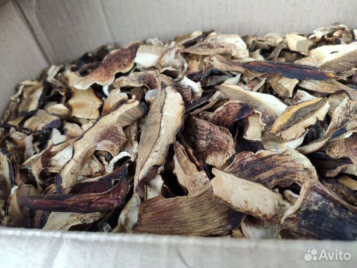 Грибы белые сушеные