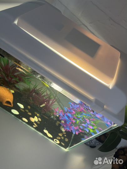 Аквариум с рыбками бу