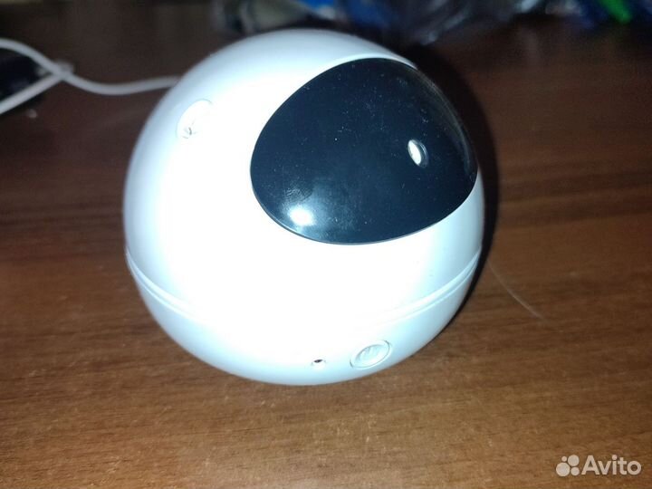 Лазер для кошек