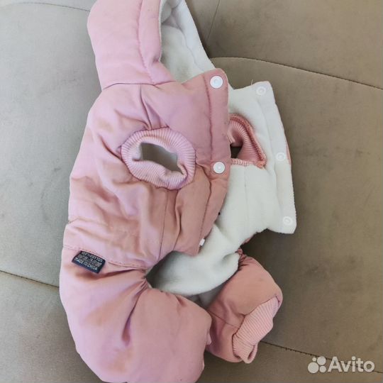 Одежда для маленьких собак