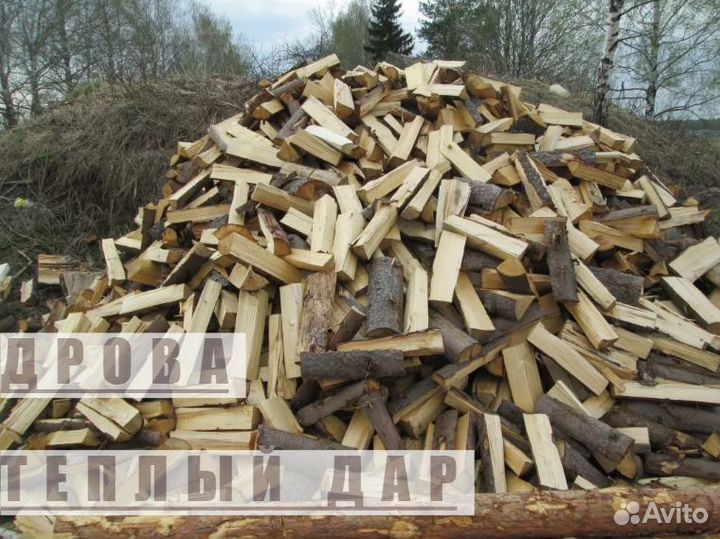 Дрова сухие