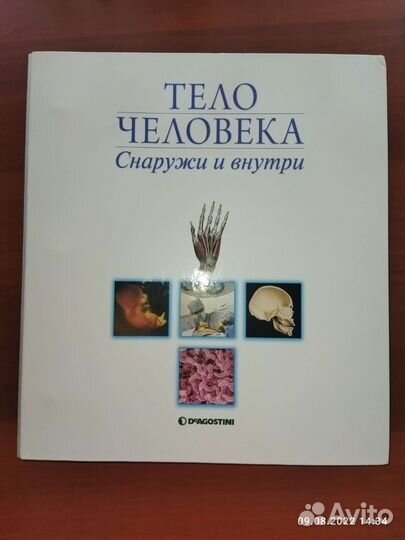 Тело человека. Снаружи и внутри