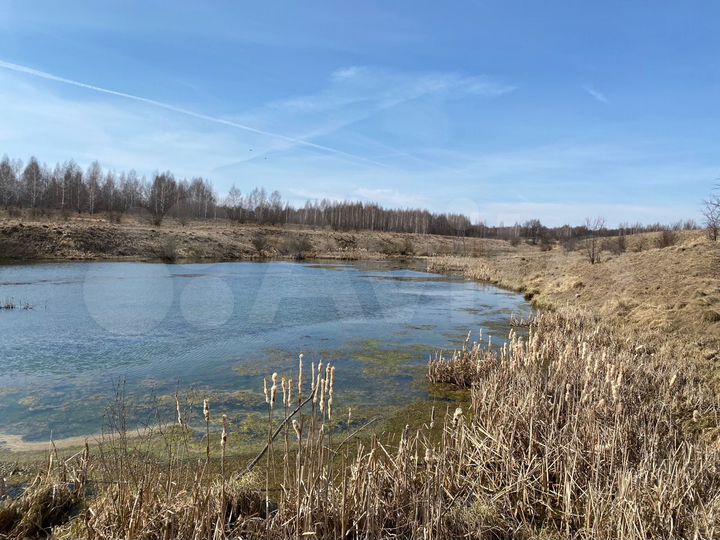 Участок 4 га (промназначения)