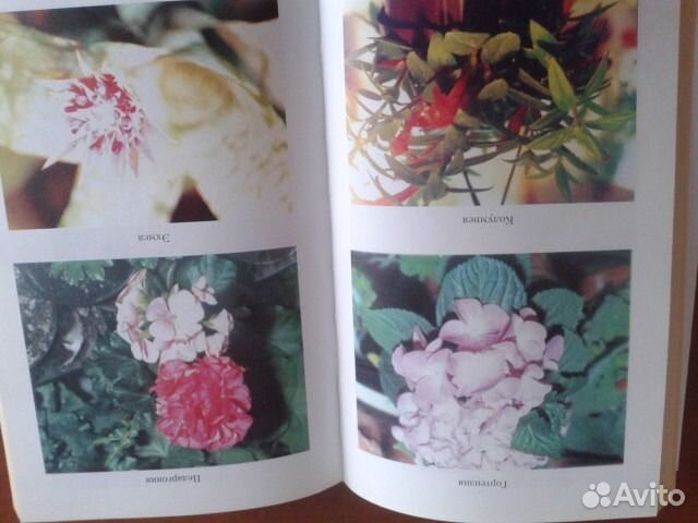 Азбука цветовода