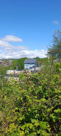 Участок 20 сот. (СНТ, ДНП)