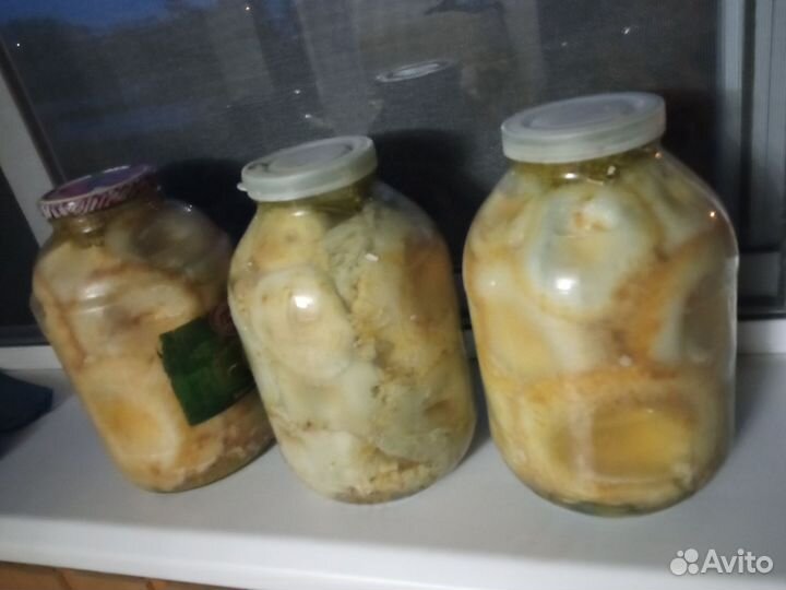 Саленые грузди