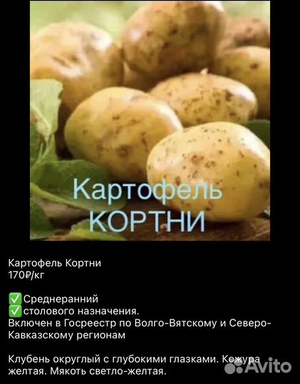 Семенной картофель