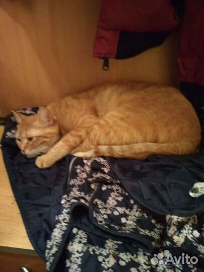 Хотят выбросить на улицу