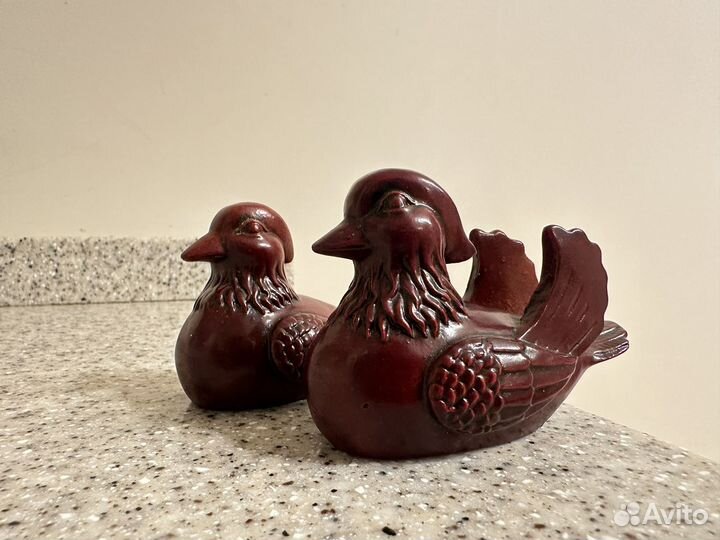 Утки мандаринки пара