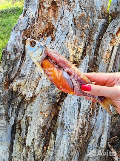 Вяленая Астраханская Вобла