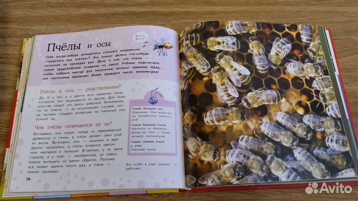 Детские книги энциклопедии