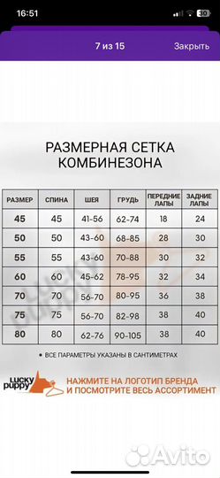 Дождевик для собаки