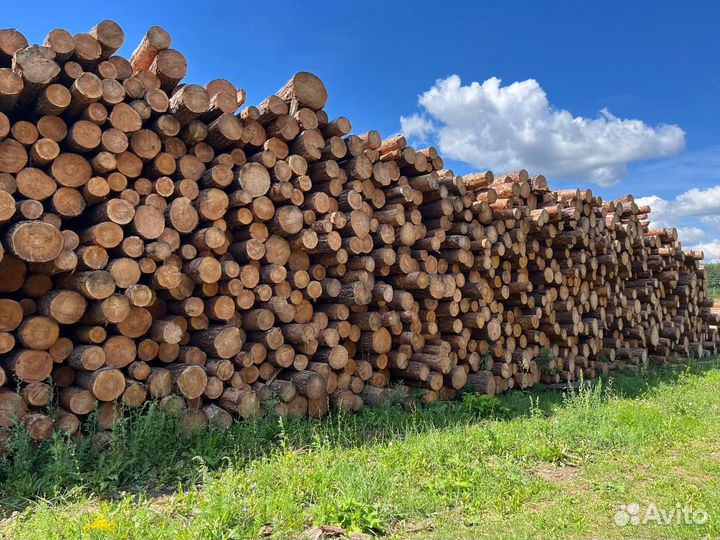 Лес кругляк пиловочник