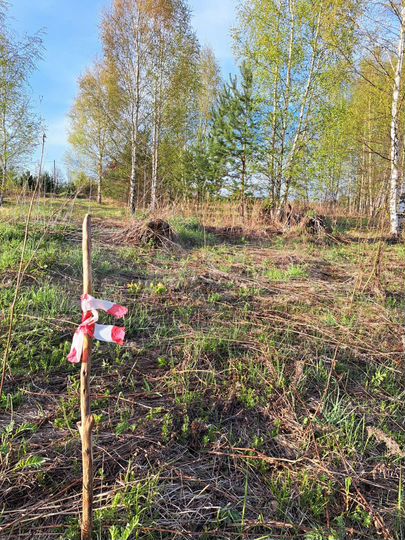 Участок 7 сот. (ИЖС)