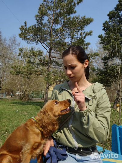 Сложные случаи в дрессировке собаки. Гостиница