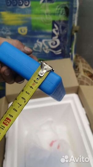 Хладоэлементы