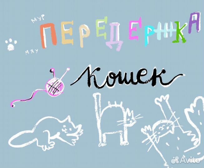 Передержка домашних животных