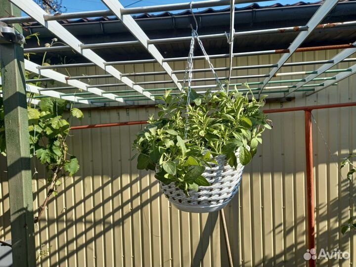 Кашпо для цветов