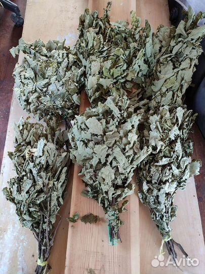 Дубовые веники для бани свежий сбор