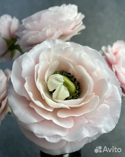 Цветы из холодного фарфора