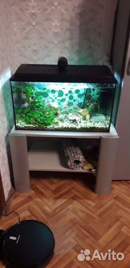 Оборудование для аквариума